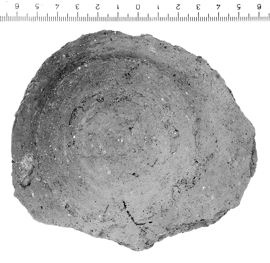 fondo (secc. VI/ IV a.C)