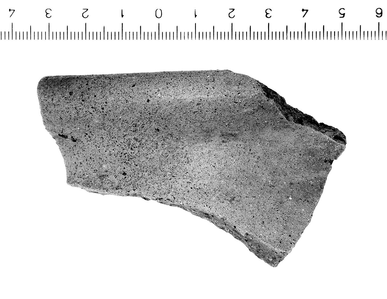 olla/ orlo (secc. VI/ III a.C)