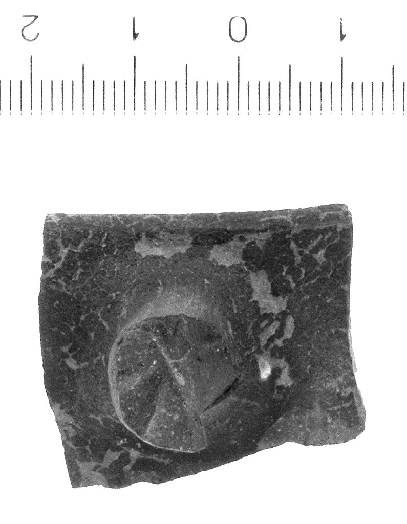 coppa/ frammento (secc. VI/ IV a.C)