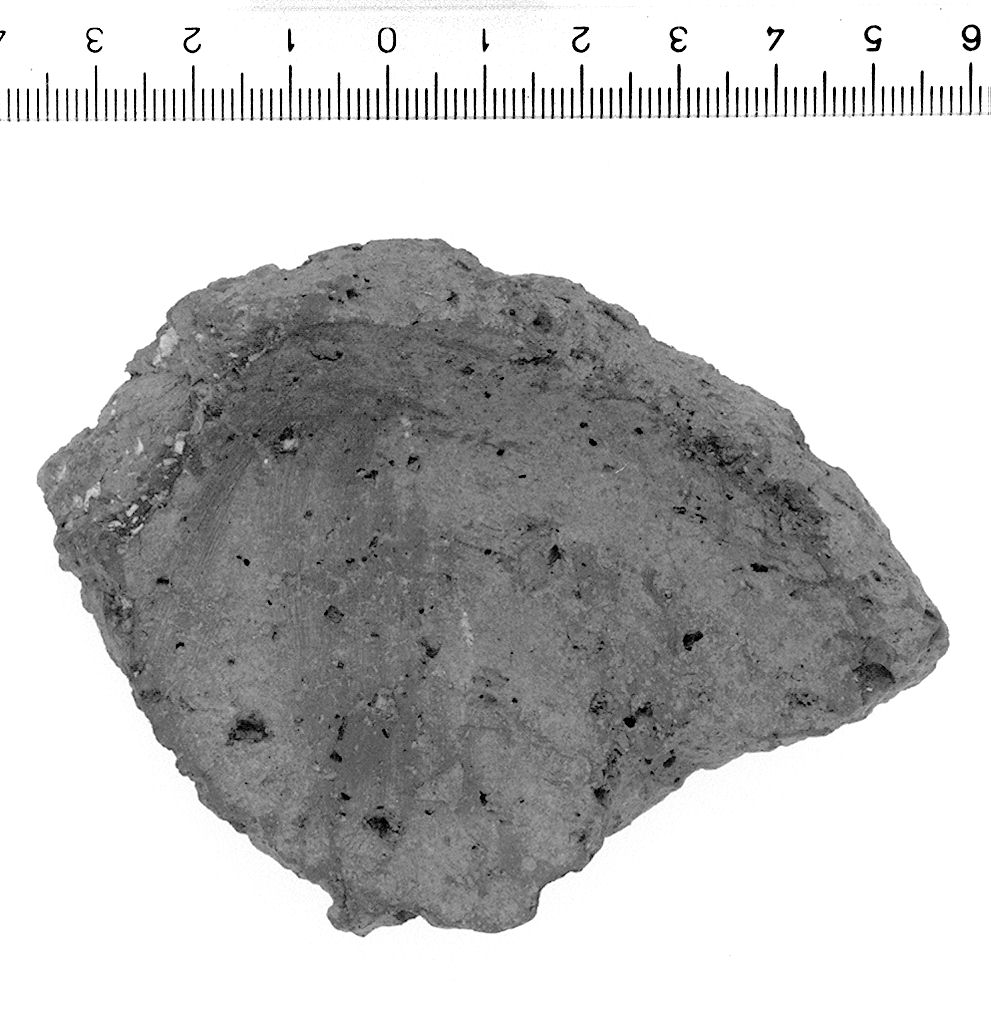 fondo (secc. VI/ IV a.C)