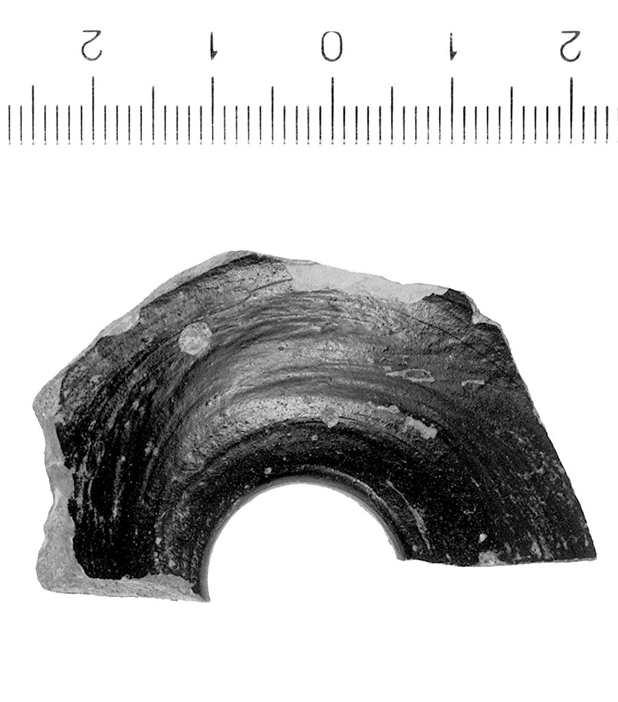 CALAMAIO/ FRAMMENTO, Morel, specie 7710 (Metà sec. III a.C)