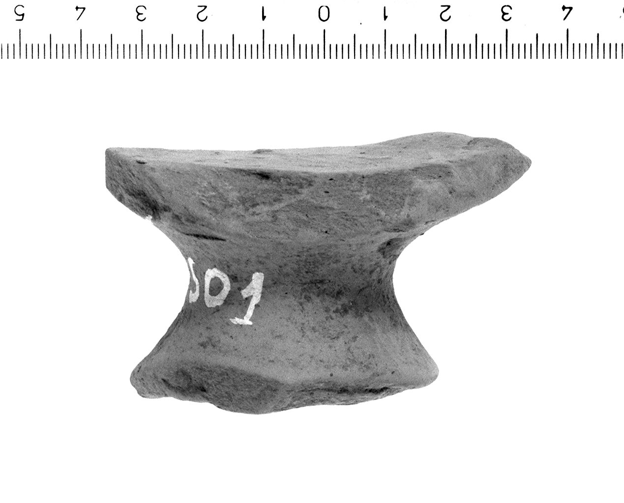 Piede (fine secc. VI/ V a.C)