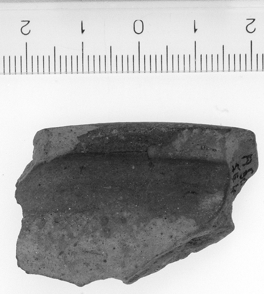 ciotola/ orlo (sec. VI a.C)