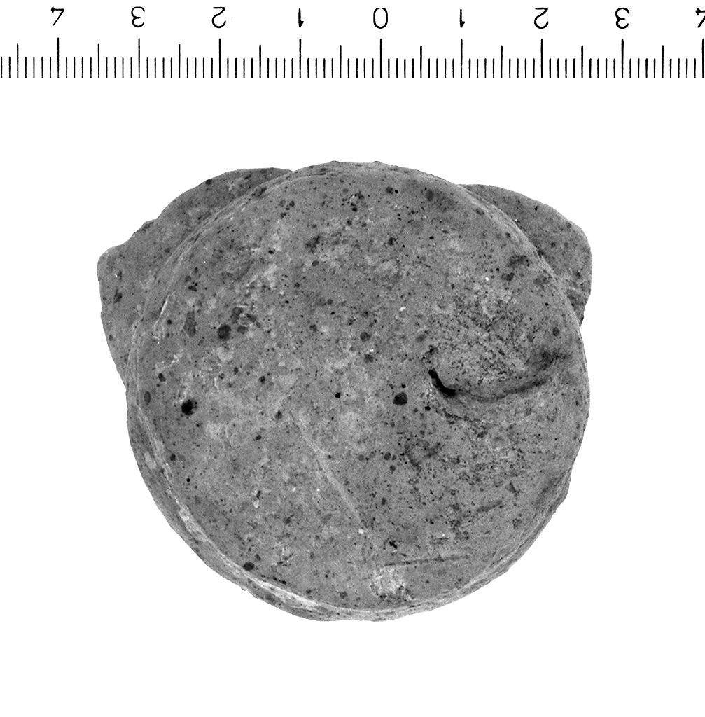 coperchio/ presa (secc. VI/ IV a.C)