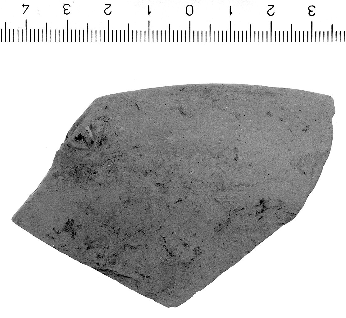 ciotola/ orlo (fine/inizio secc. VI/ V a.C)