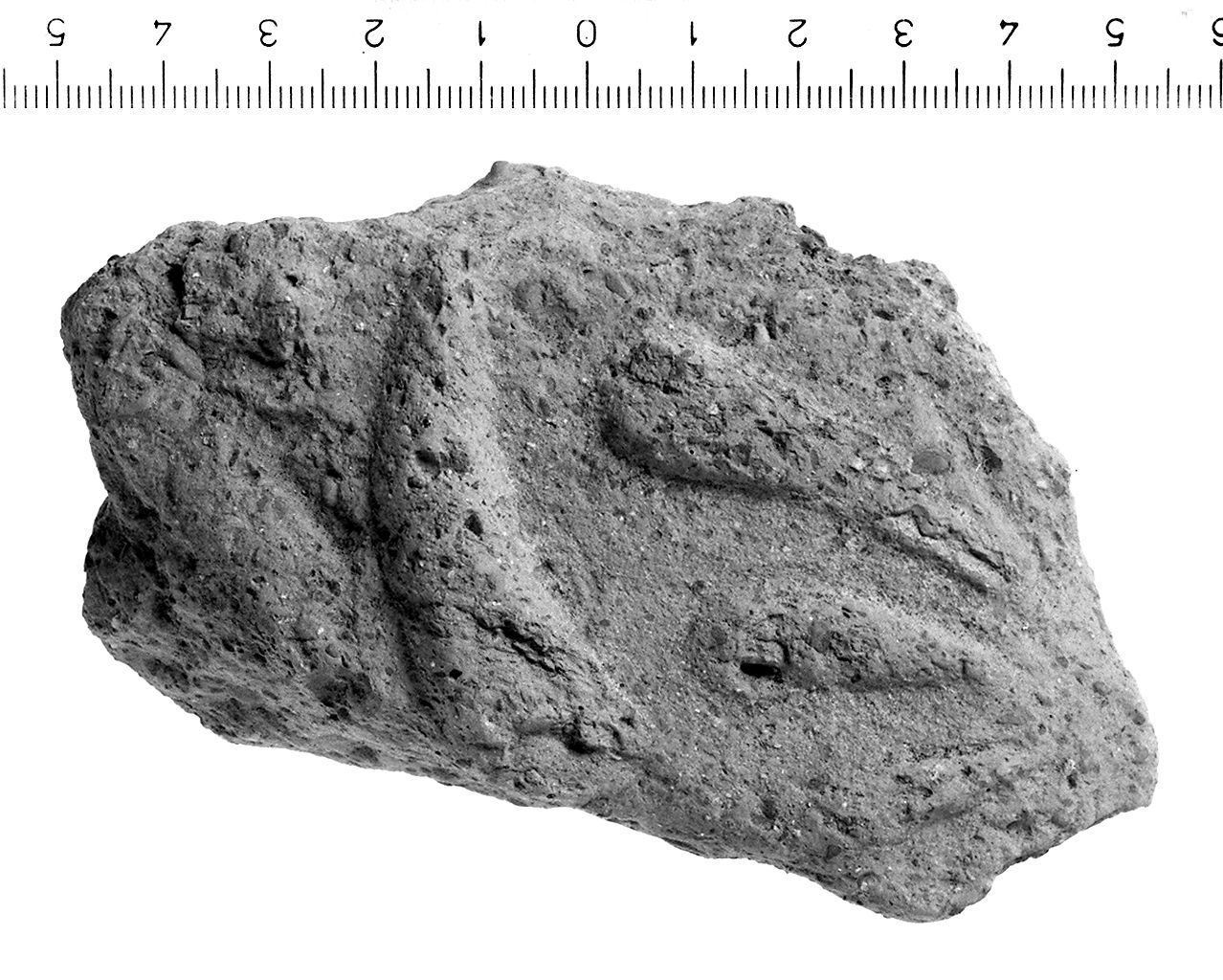 lastra di rivestimento/ frammento (inizio sec. II a.C)