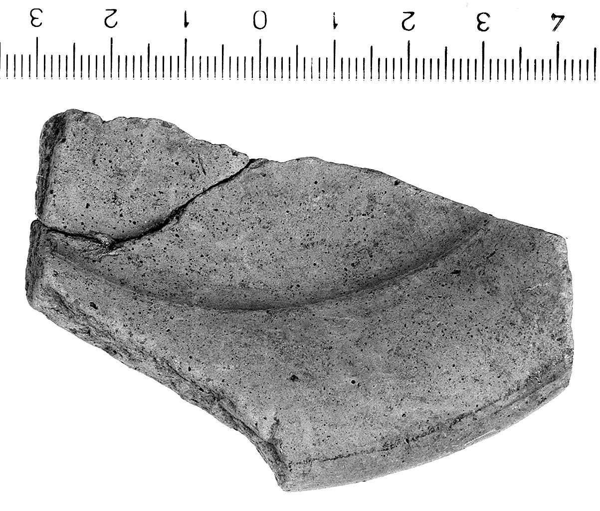 Piattello / forma parzialmente ricostruibile (secc. VI/ V a.C)