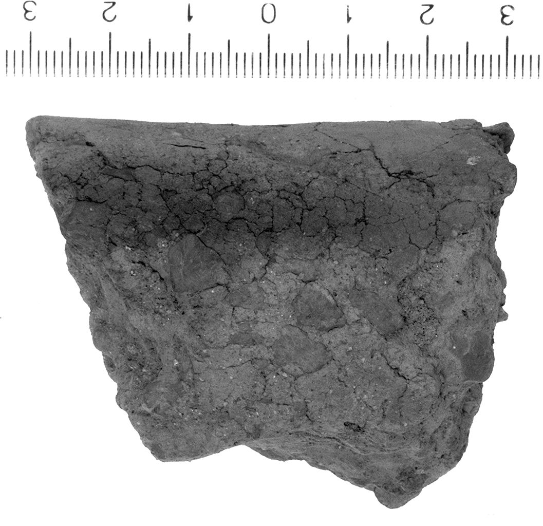 bacile/ labbro (secc. VI/ IV a.C)