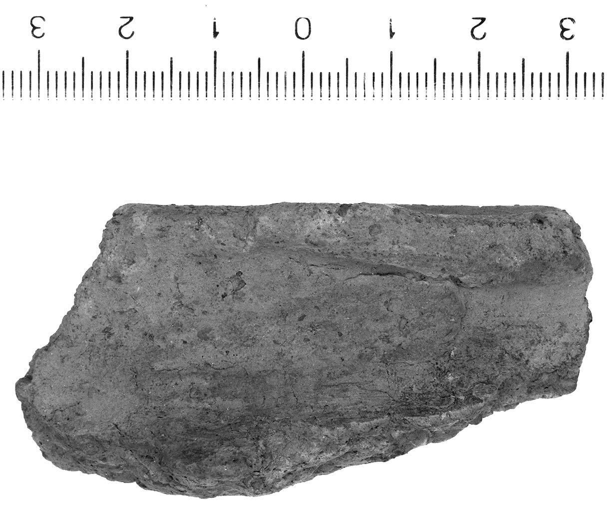 olla/ labbro (secc. VI/ IV a.C)