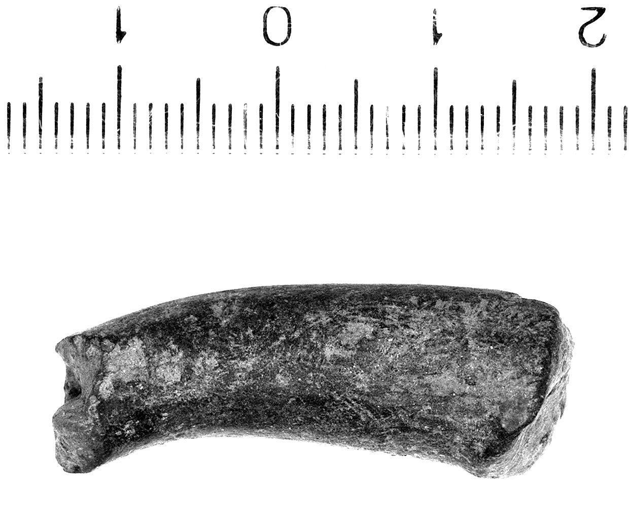 coppa/ ansa (sec. VI a.C)