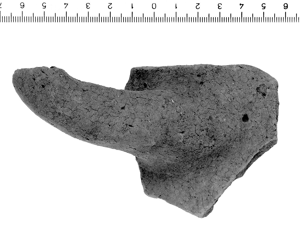 vaso/ ansa (secc. VI/ IV a.C)