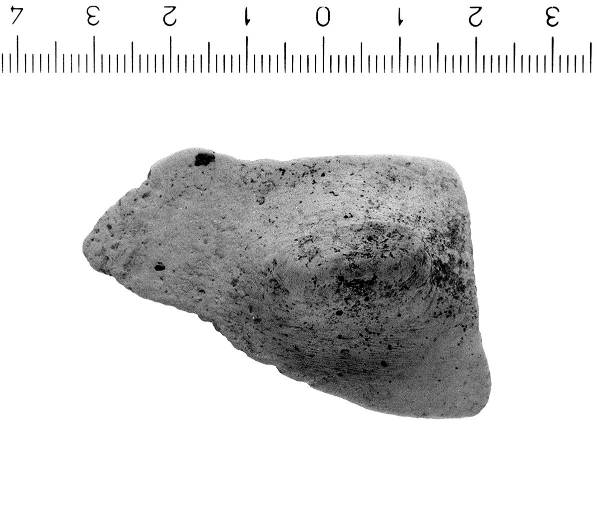 vaso/ spalla (secc. VI/ IV a.C)