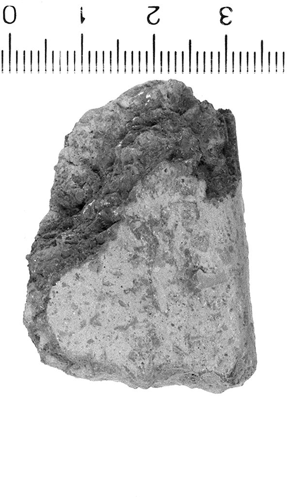 ciotola/ orlo (secc. VI/ IV a.C)