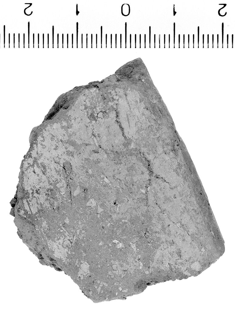 ciotola/ orlo (secc. VI/ V a.C)