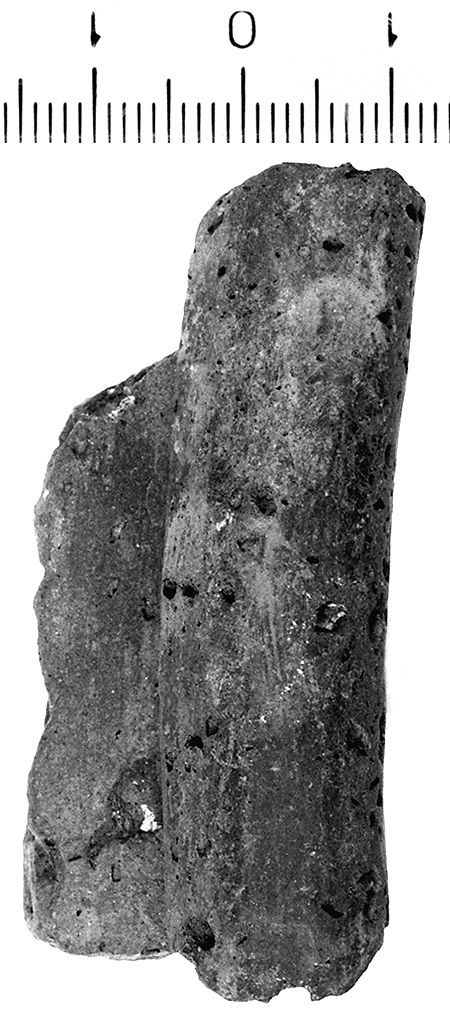 olla/ orlo (secc. V/ IV a.C)