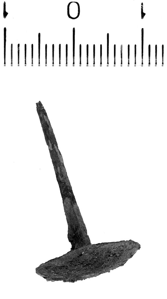 Chiodo (secc. VI/ V a.C)