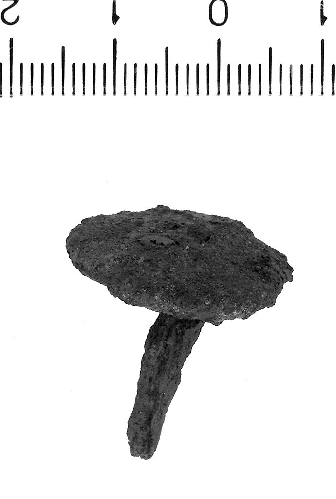 Chiodo (secc. VI/ V a.C)