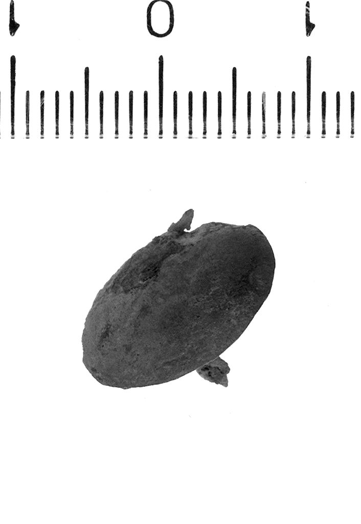 Chiodo (secc. VI/ V a.C)