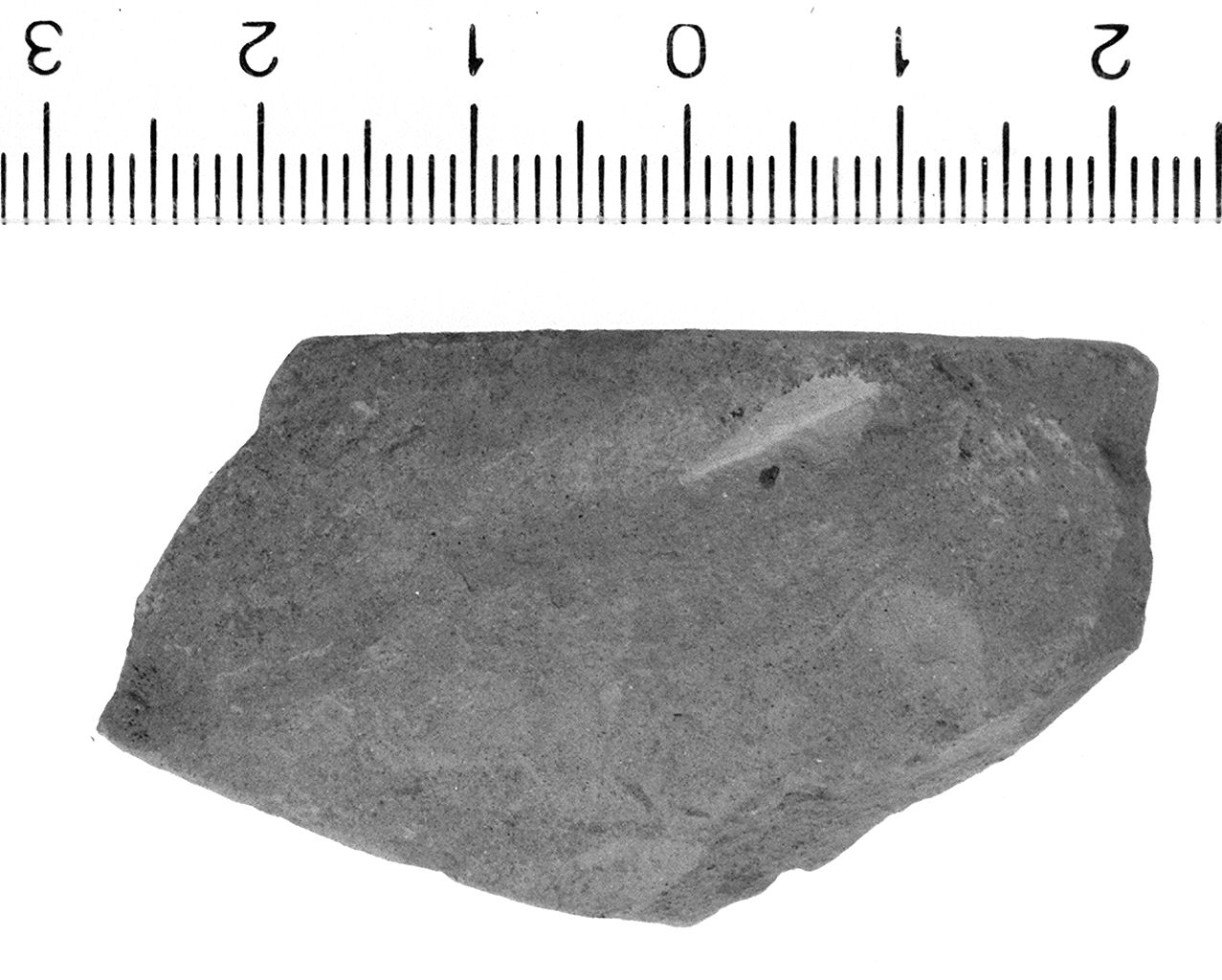 ciotola/ orlo (secc. V/ IV a.C)