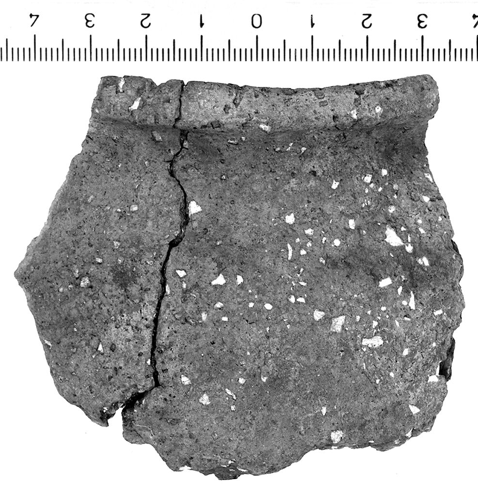 olla/ orlo (secc. IV/ III a.C)