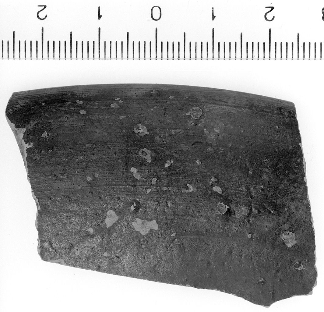 patera/ orlo (Seconda metà sec. II a.C)