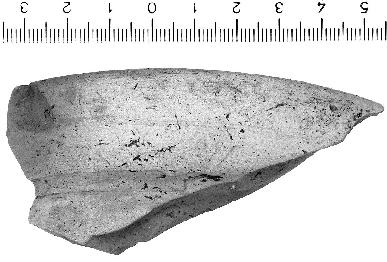 anfora/ orlo (secc. I/ II d.C)