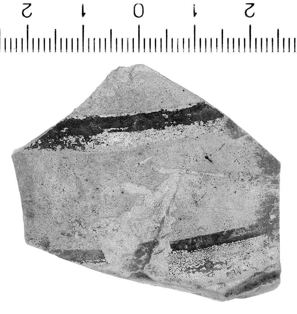 collo (secc. IV/ III a.C)