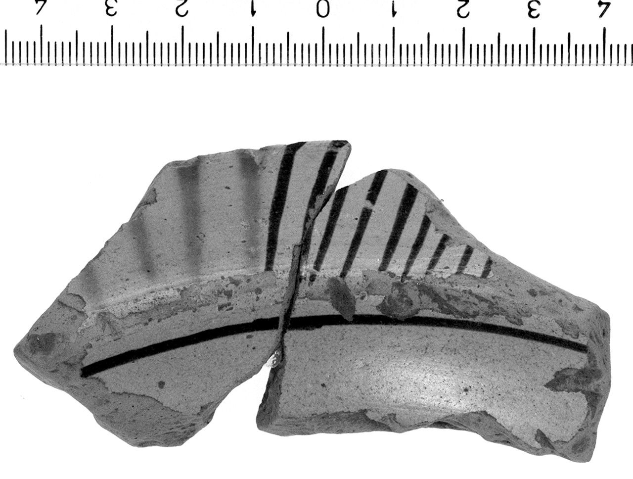 catino/ orlo (secc. XIV/ XV d.C)