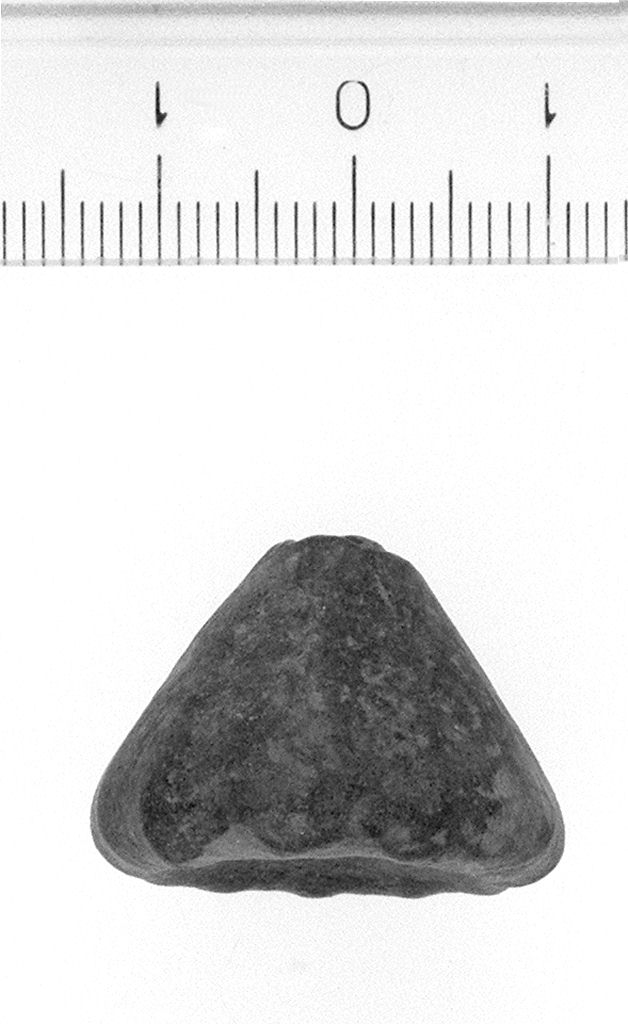 Fuseruola (secc. VII/ VI a.C)