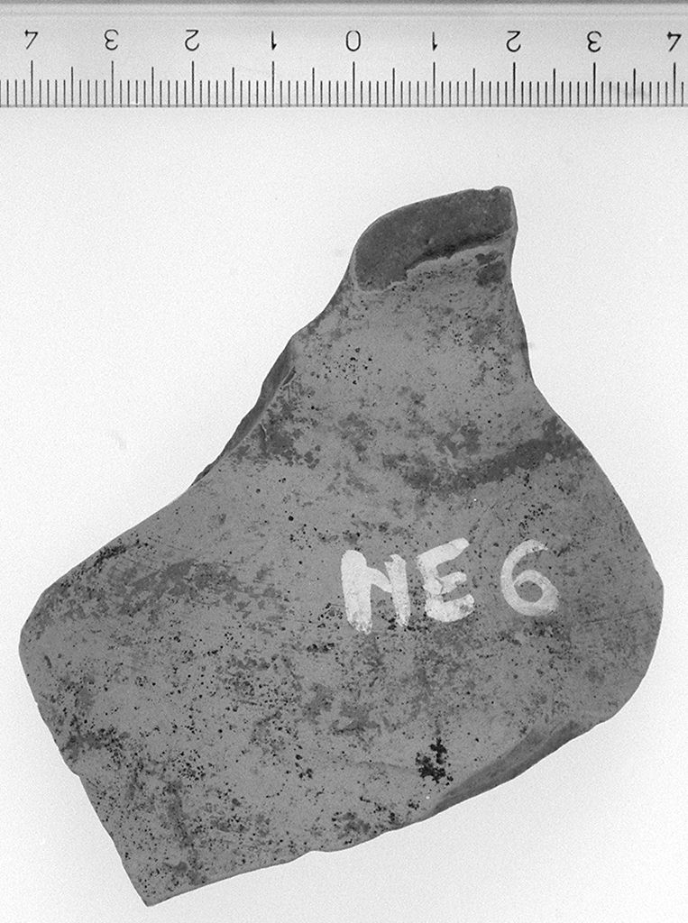 oinochoe/ frammento (secc. VI/ V a.C)