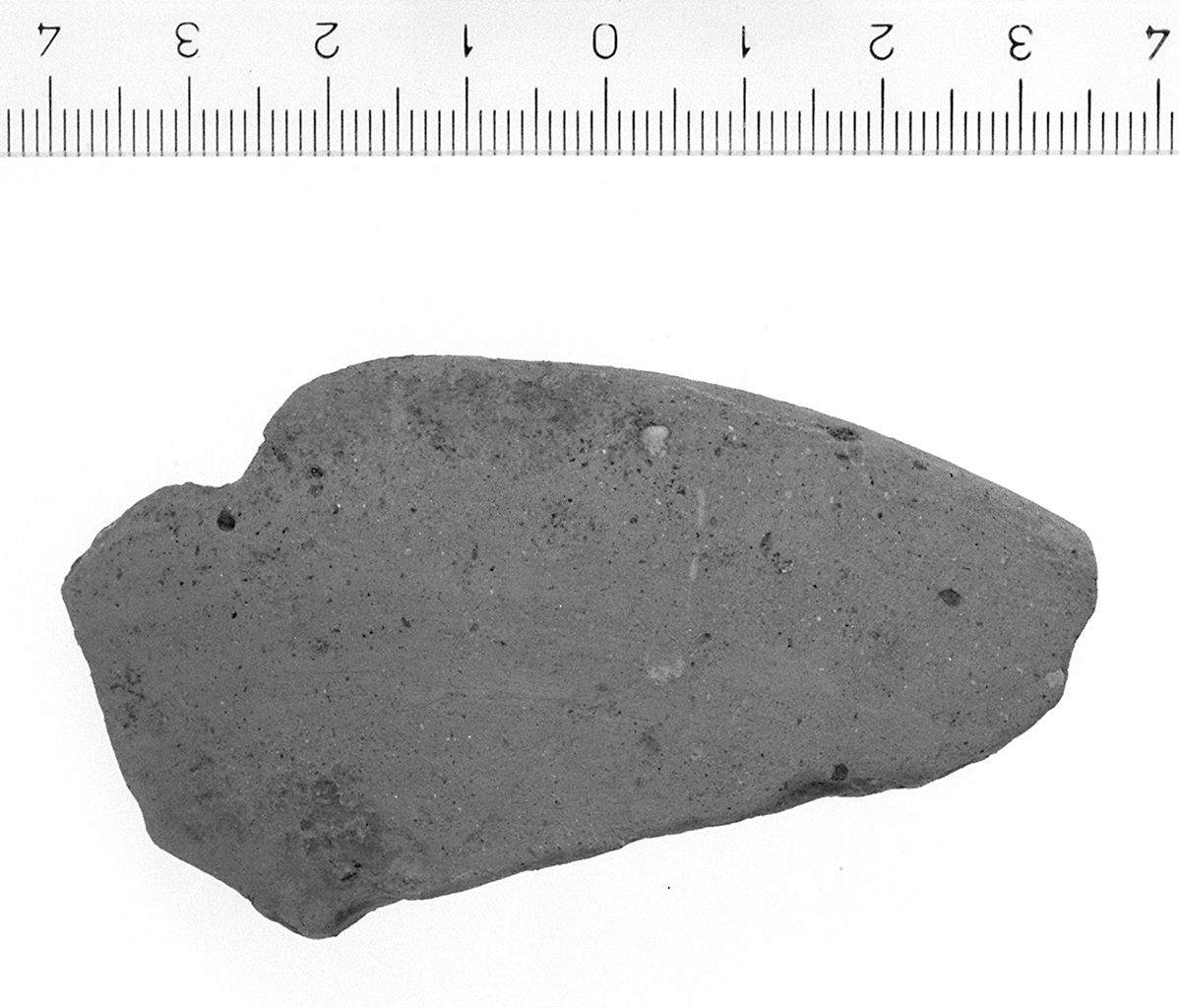 ciotola/ orlo (secc. VI/ V a.C)