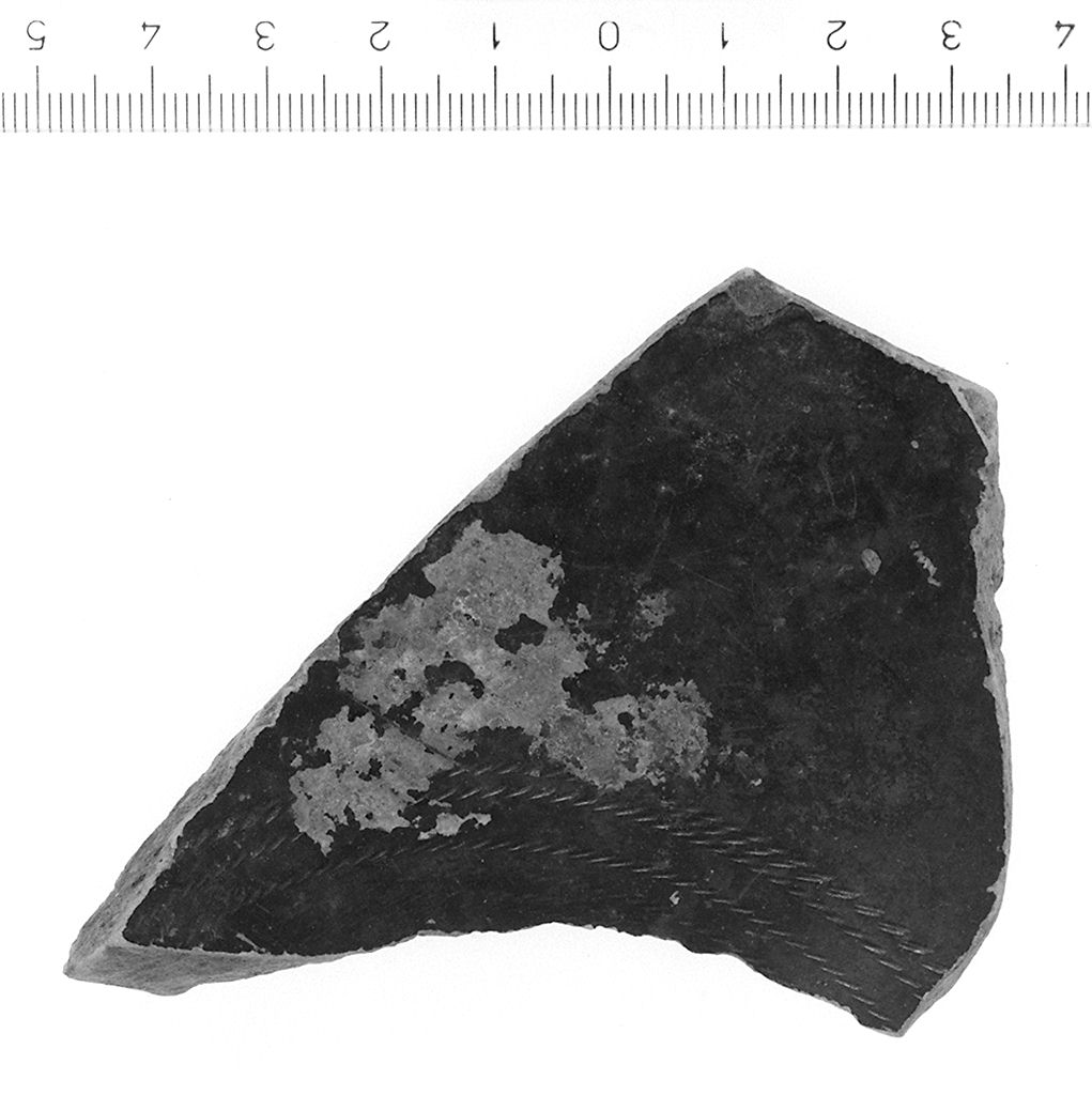 fondo (secc. III/ I a.C)