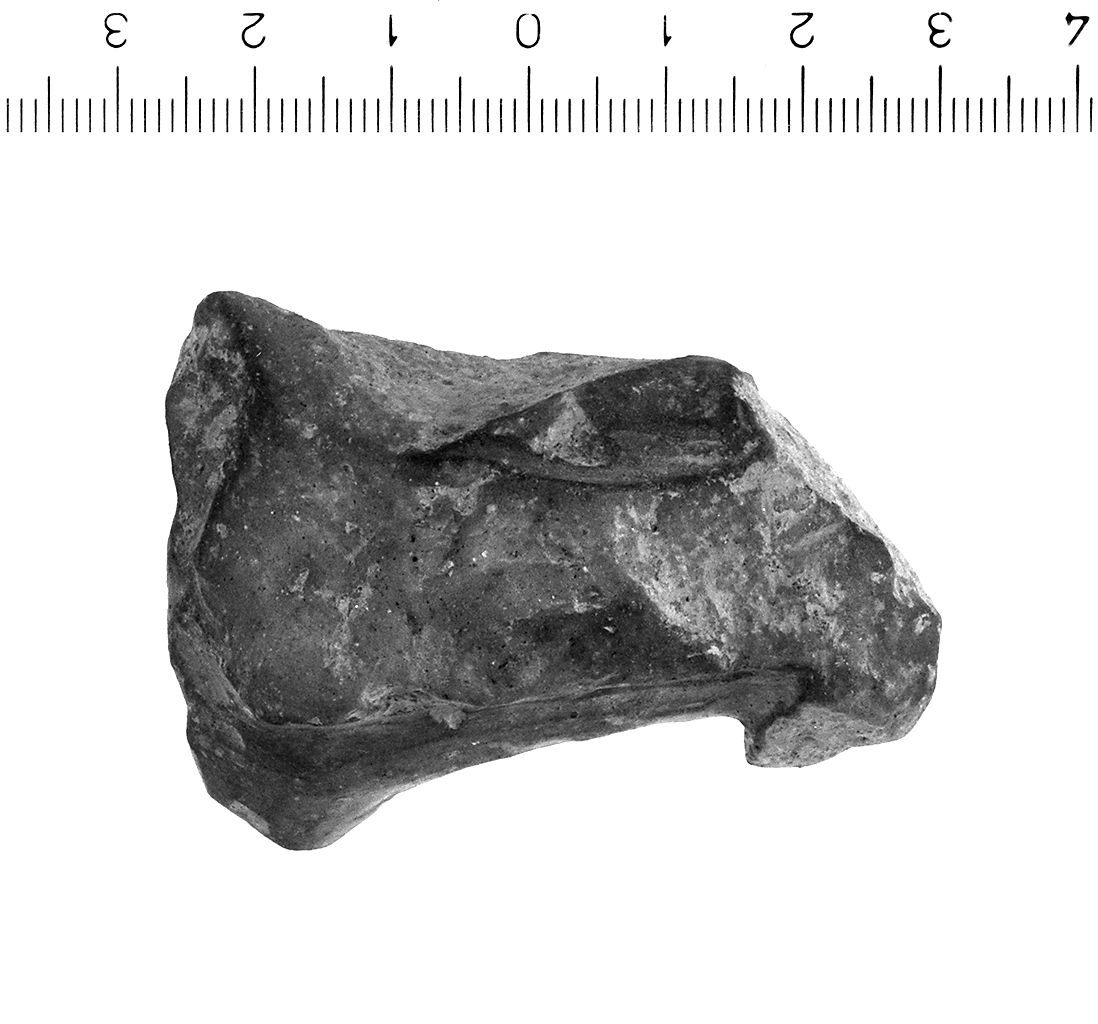 Ansa (sec. VI a.C)