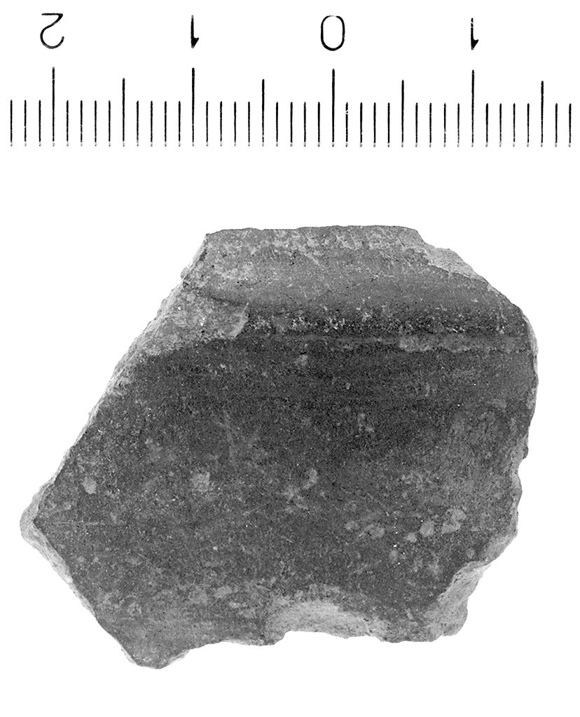 kyathos/ parete (sec. VI a.C)