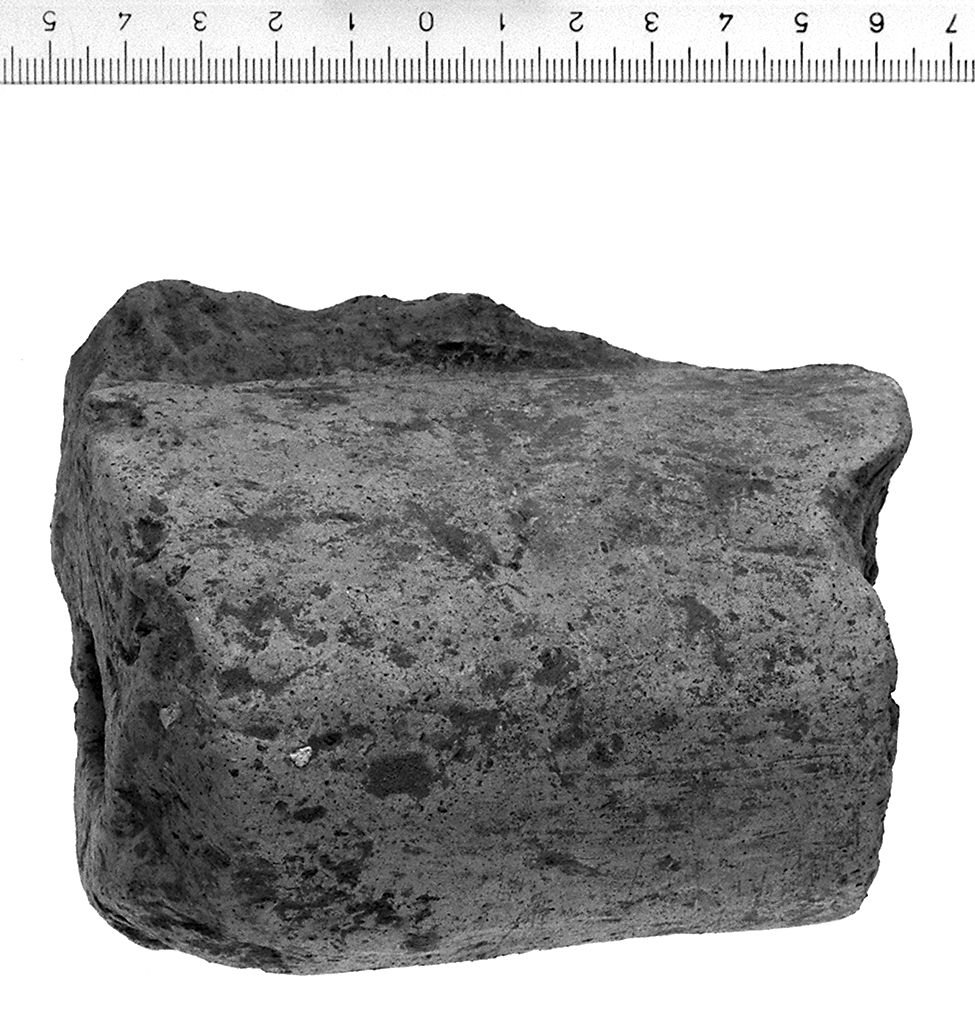 Toro di sima (sec. II a.C)