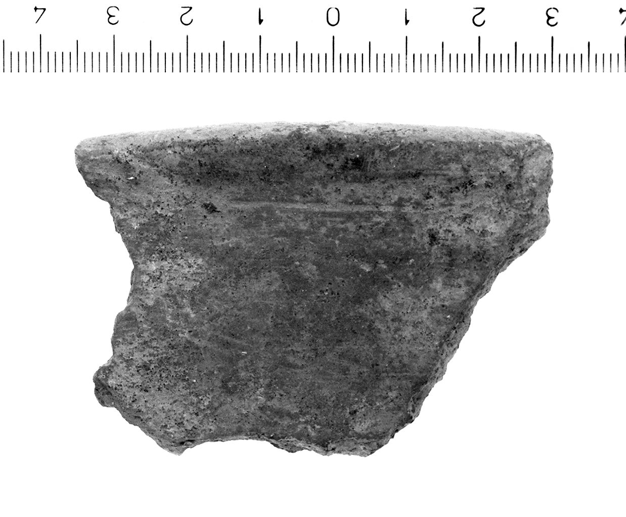 ciotola coperchio/ orlo (sec. VI a.C)