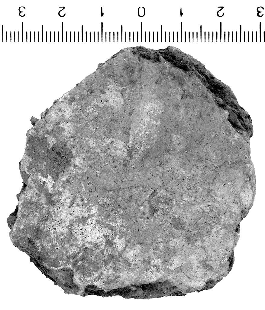 Parete (sec. VII a.C)