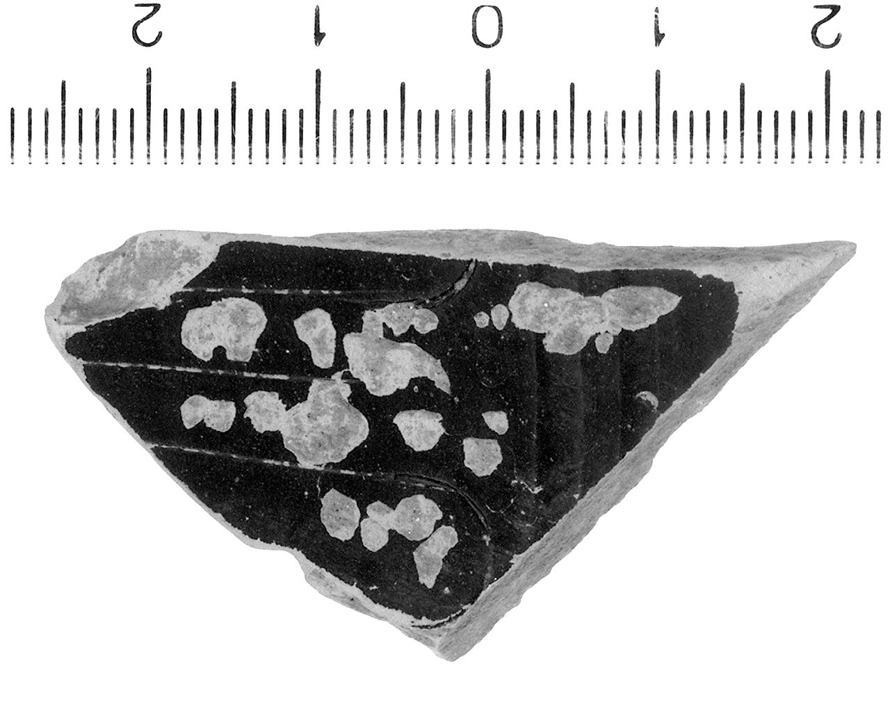 kylix/ fondo (secc. V/ IV a.C)