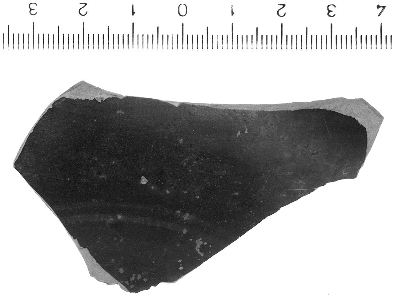kylix/ fondo (Seconda metà sec. IV a.C)