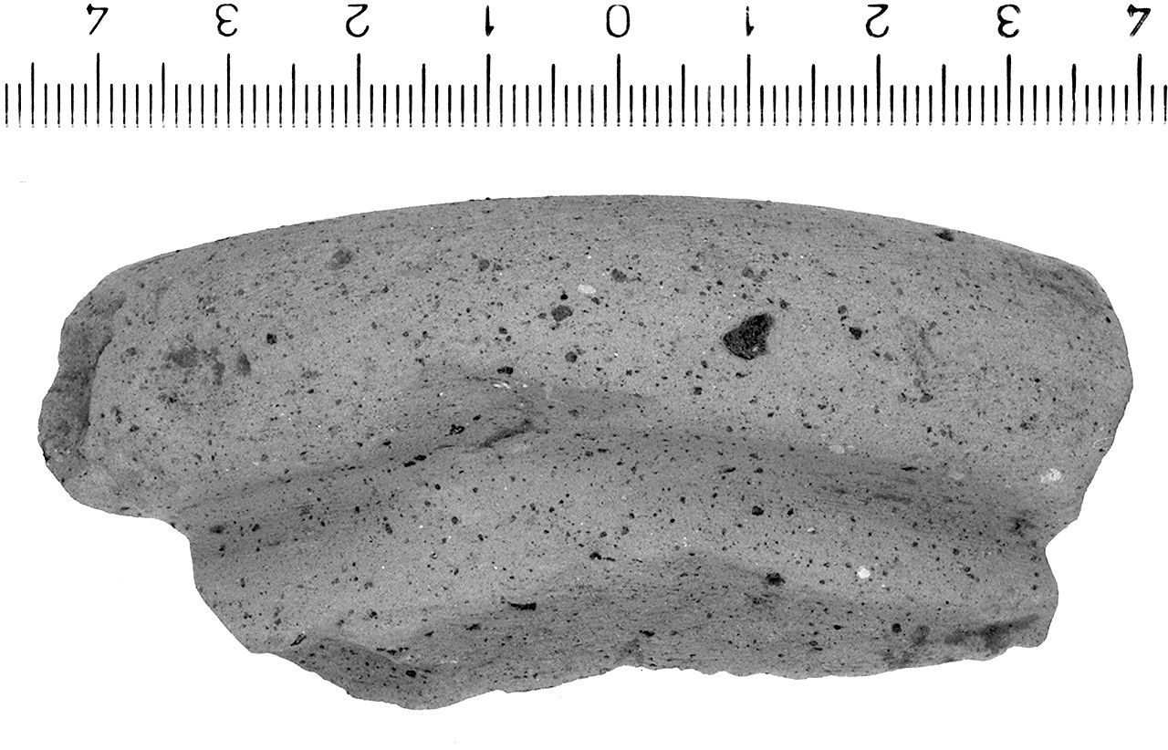 anfora/ orlo, Dressel, forma 2-4 (secc. I a.C./ I d.C)