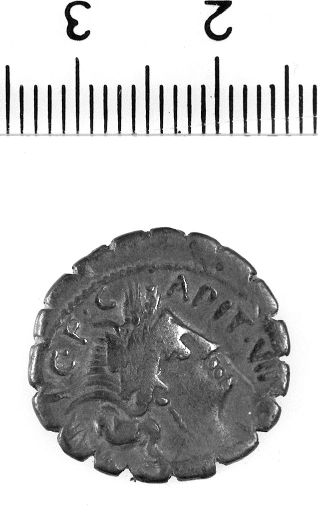 denario serrato (I a. C)