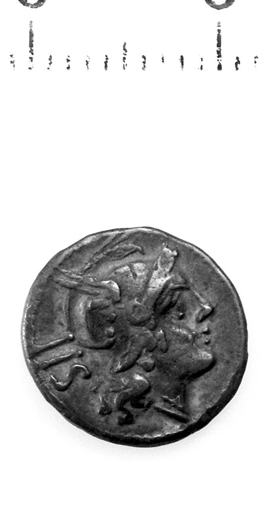sesterzio (fine III a.C)