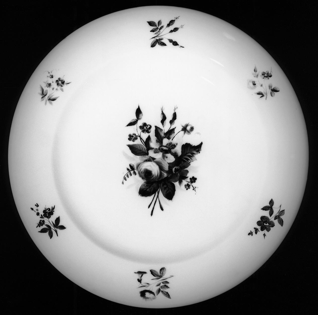 motivi decorativi vegetali (piatto) - manifattura Ginori di Doccia (sec. XIX)