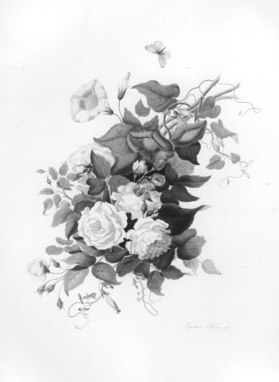 fiori (stampa) di Didier Euphèmie (sec. XIX)