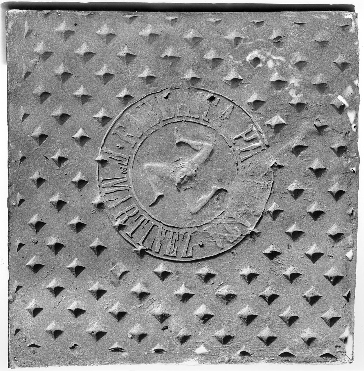 motivi decorativi vegetali (mattonella) di Martinez Filippo manifattura (fine/ inizio secc. XIX/ XX)