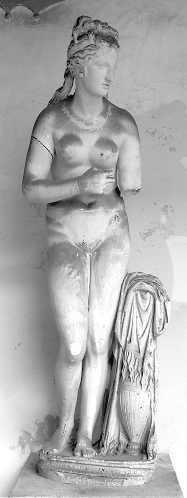 Venere capitolina, Venere (statua) - bottega romana (secc. XVIII/ XIX)