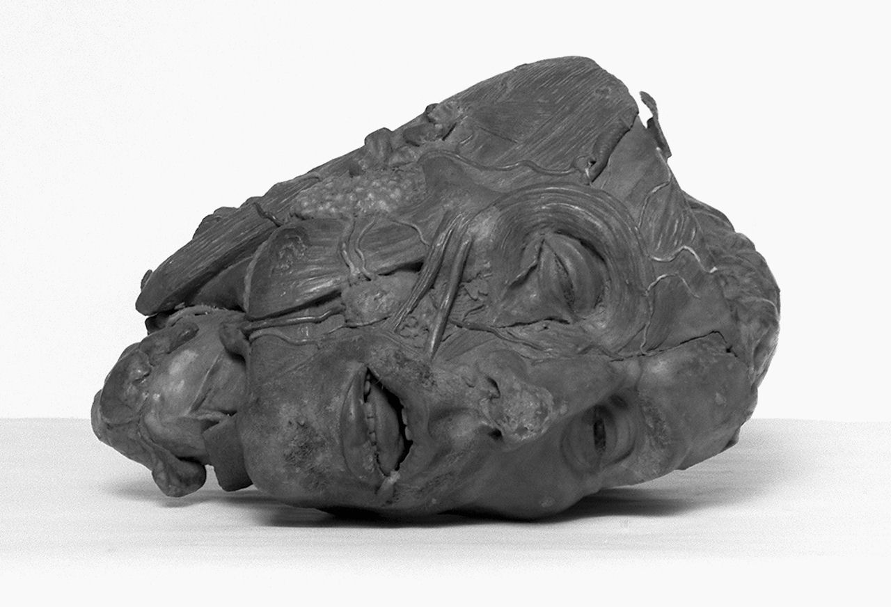 testa d'uomo (scultura) di Susini Clemente (maniera) (secc. XVIII/ XIX)