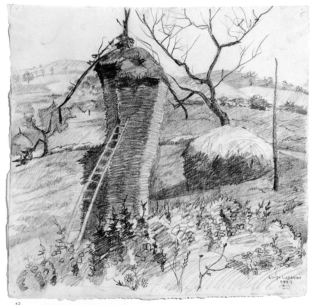 paesaggio rurale (disegno) di Luparini Luigi (sec. XX)