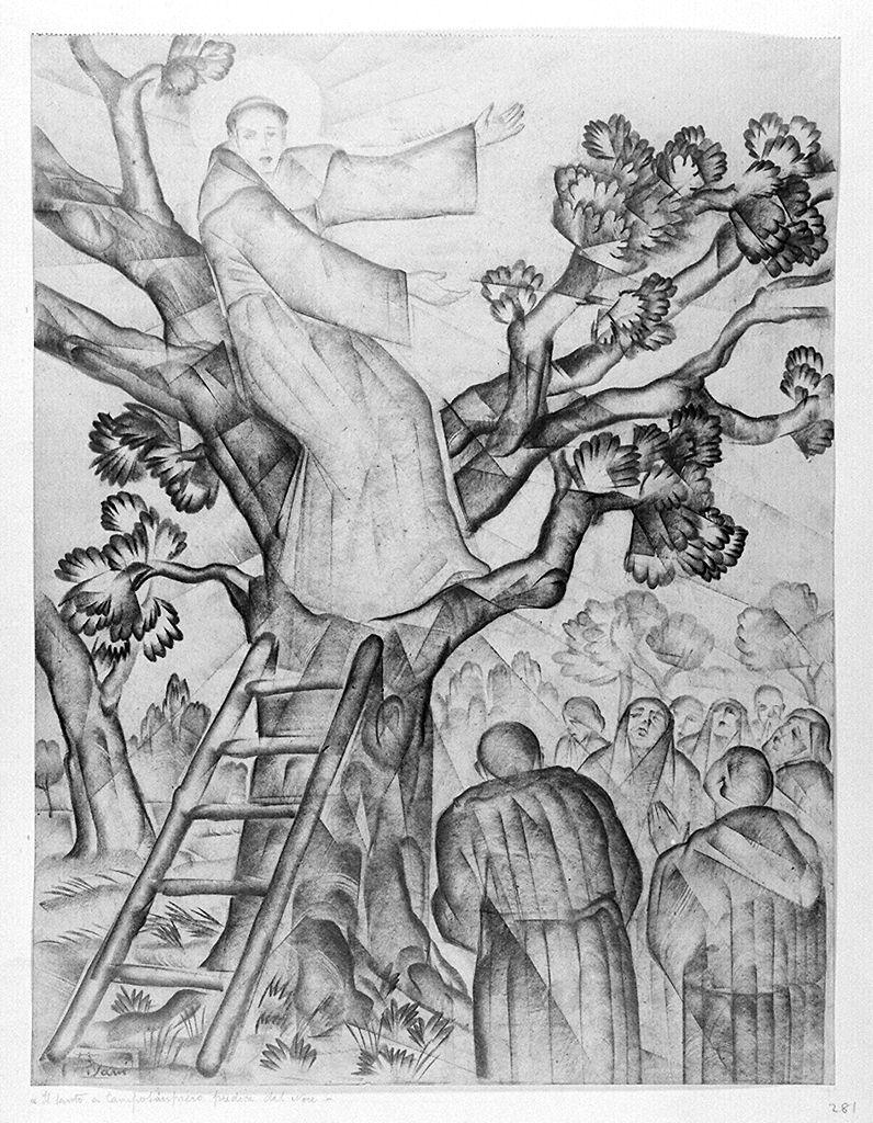 Sant'Antonio da Padova predica dal noce (disegno) di Pisani Angelo (sec. XX)