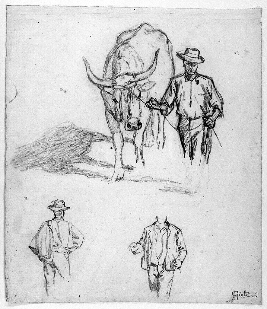 bue (disegno) di Gioli Luigi (sec. XIX)